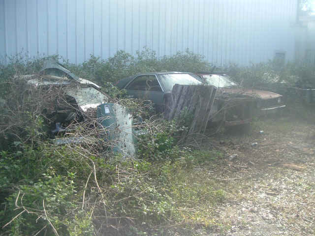 amc-estate-side-of-warehouse.jpg (130469 bytes)
