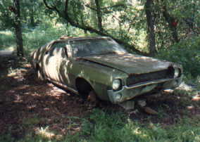 68-amc-amx-in-swamp.jpg (10803 bytes)